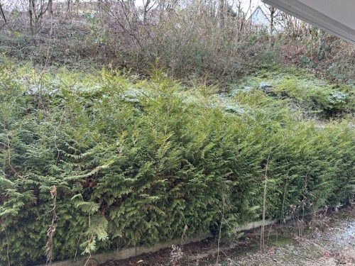 Prime location - Furnished 2-Bedroom Apartment near Milaneo (70191)