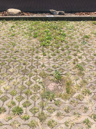 Fashionable, perfect Apartment in Panketal