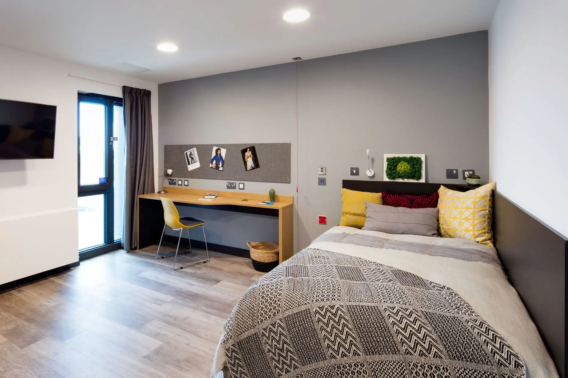  Studio  -  Aspen  - Gallery -  1