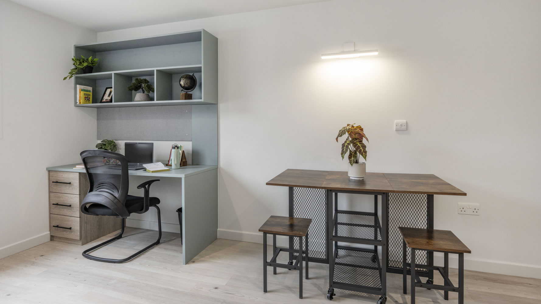  Premium Studio  -  The Paragon  - Gallery -  3