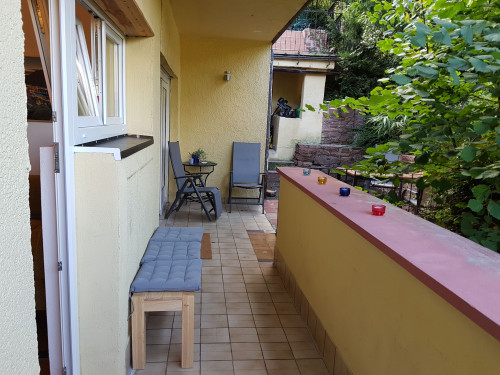 Stay in the historic center and inmidst of the nature at the same time