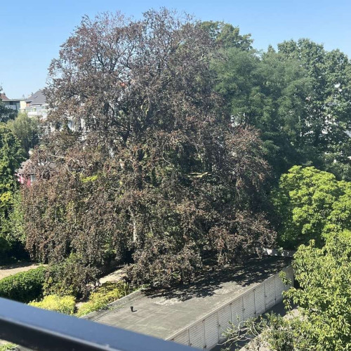 Beautiful, modernly furnished apartment in a very popular area in the heart of Düsseldorf