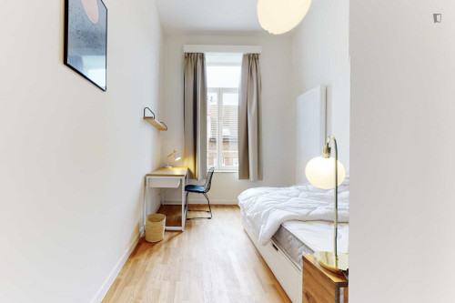 Pleasant ensuite single bedroom near Schuman metro