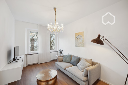 Amazing & pretty apartment conveniently located