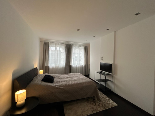 Modern Executive Loft with Fireplace & Balcony in Bad Salzuflen - Gallery - 17