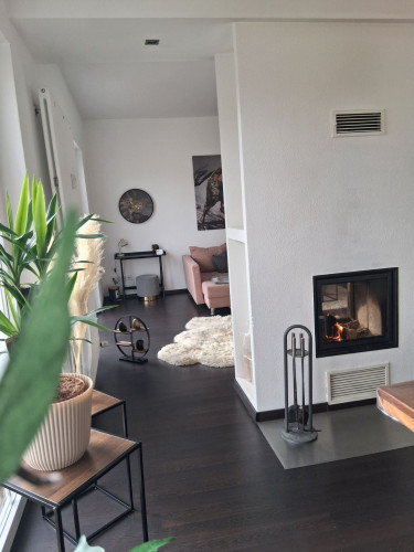 Modern Executive Loft with Fireplace & Balcony in Bad Salzuflen - Gallery - 25