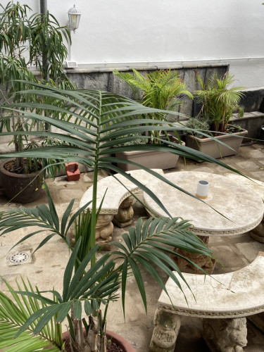 Modern Coliving House in Historic La Orotava for Remote Workers and Digital Nomads