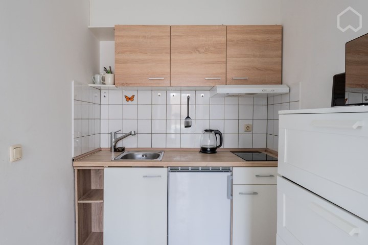  Studio  -  Great suite close to university and filmpark (Potsdam)  - Gallery -  16