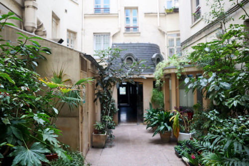 Appartements centraux très proches et confortables en zone 5