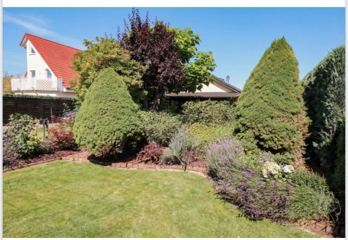 Cozy & fantastic home (Französisch Buchholz)