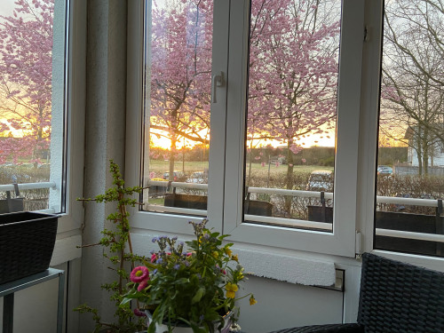 Flat near Airport Berlin/ Science work Adlershof