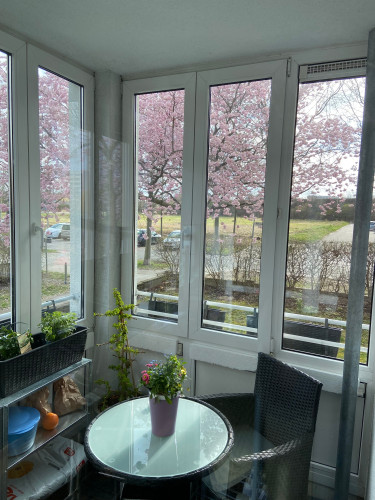 Flat near Airport Berlin/ Science work Adlershof