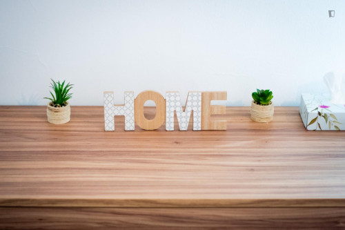 Single Bedroom in a Shared Apartment in Rome
