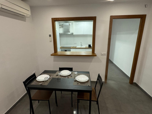 Beautiful 3-bedroom apartment close to the city center