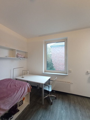 Modern studio for rent!