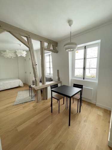 Lovely flat, Paris St-Honoré