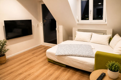 Cozy, gorgeous studio (Heidelberg)