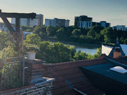 Cozy, gorgeous studio (Heidelberg) - Gallery - 4