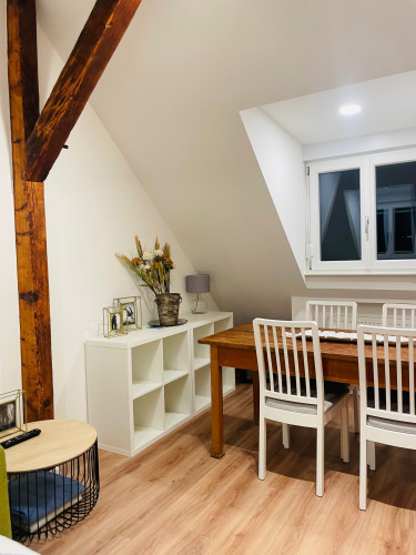 Cozy, gorgeous studio (Heidelberg) - Gallery - 24