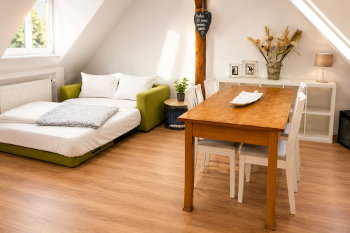 Cozy, gorgeous studio (Heidelberg) - Gallery - 12