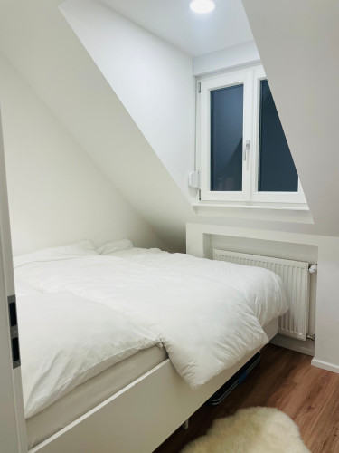 Cozy, gorgeous studio (Heidelberg) - Gallery - 34