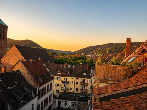 Cozy, gorgeous studio (Heidelberg) - Gallery - 19