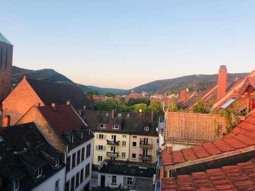 Cozy, gorgeous studio (Heidelberg)