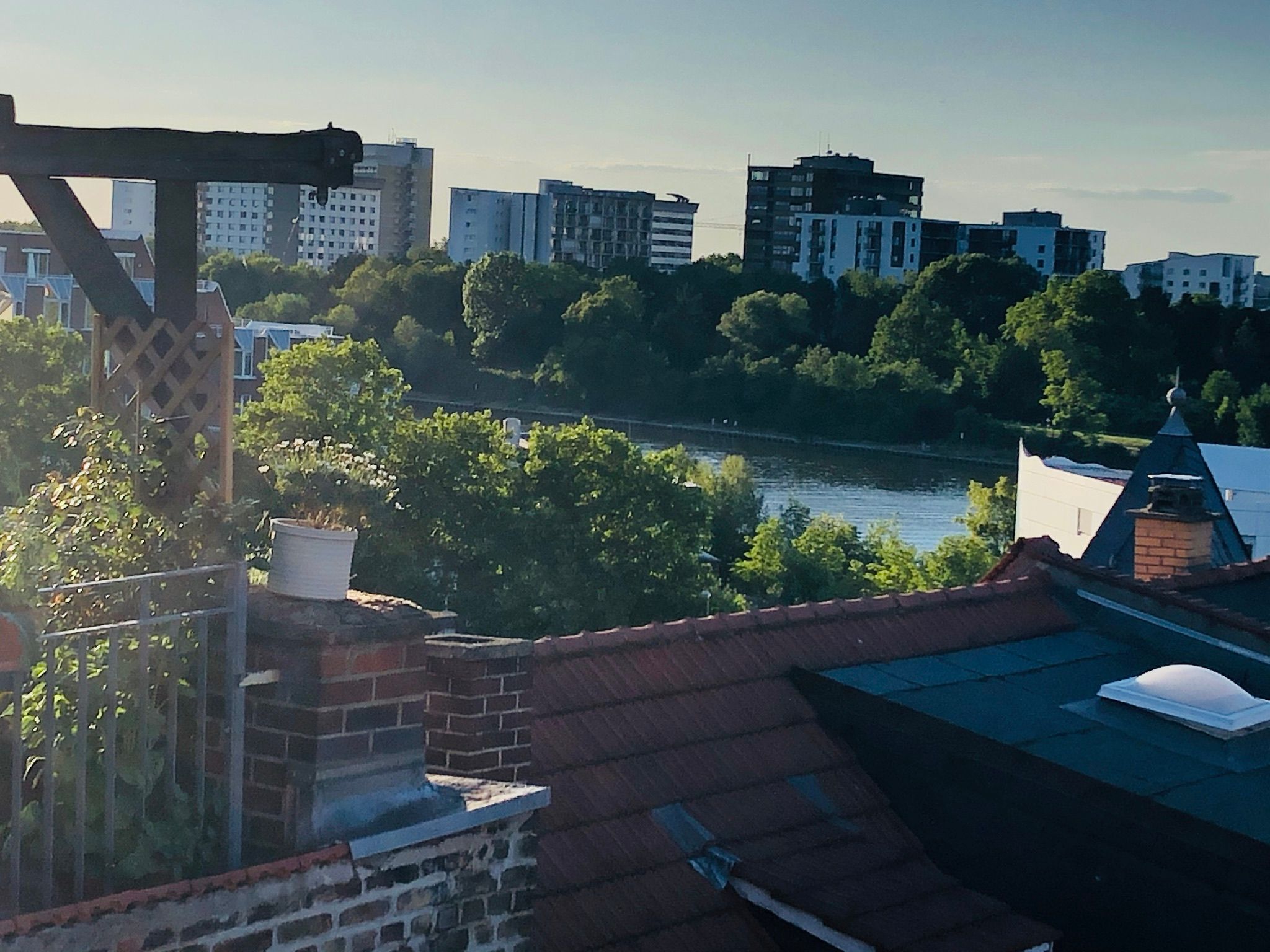 Cozy, Gorgeous Studio (Heidelberg) - 16