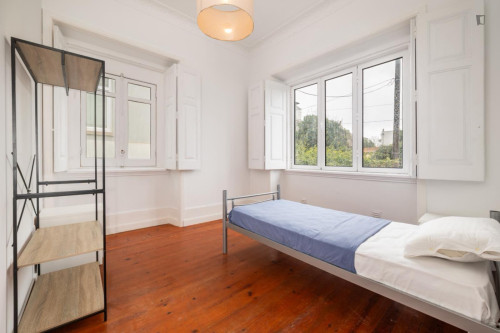 Beautiful studio not too far from Praça da República