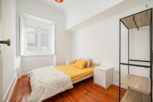 Charismatic and bright studio