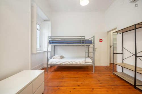 Bright studio in Celas area