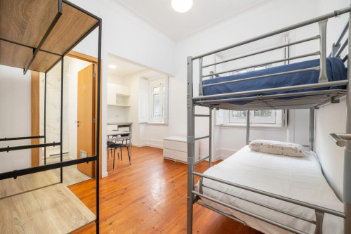 Bright studio in Celas area