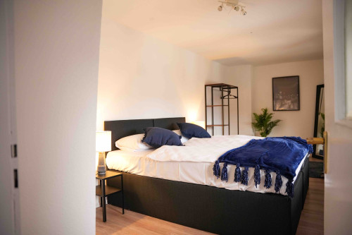 Blue Skyline  - Gallery -  5