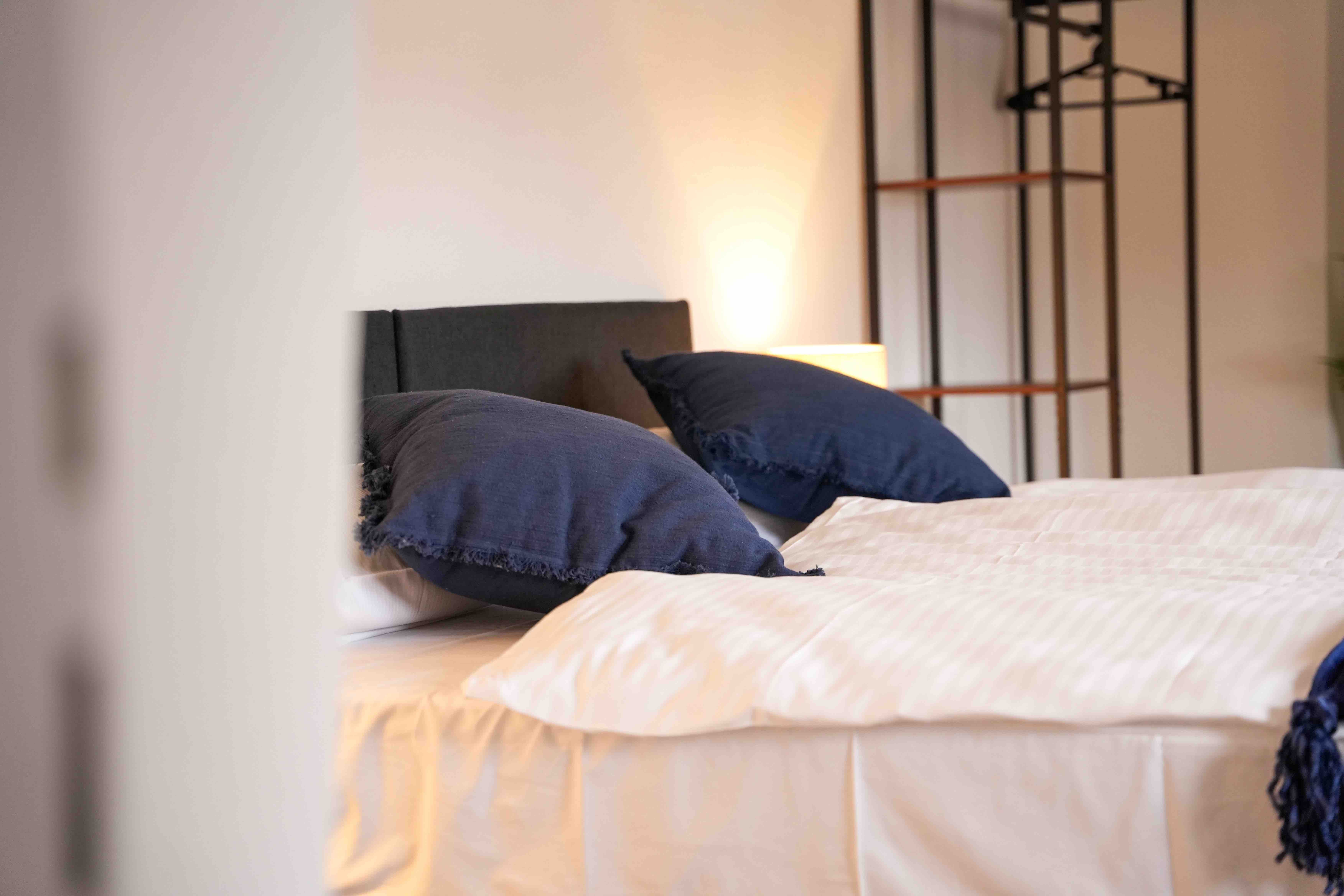  Blue Skyline  -  Blue Skyline  - Gallery -  6