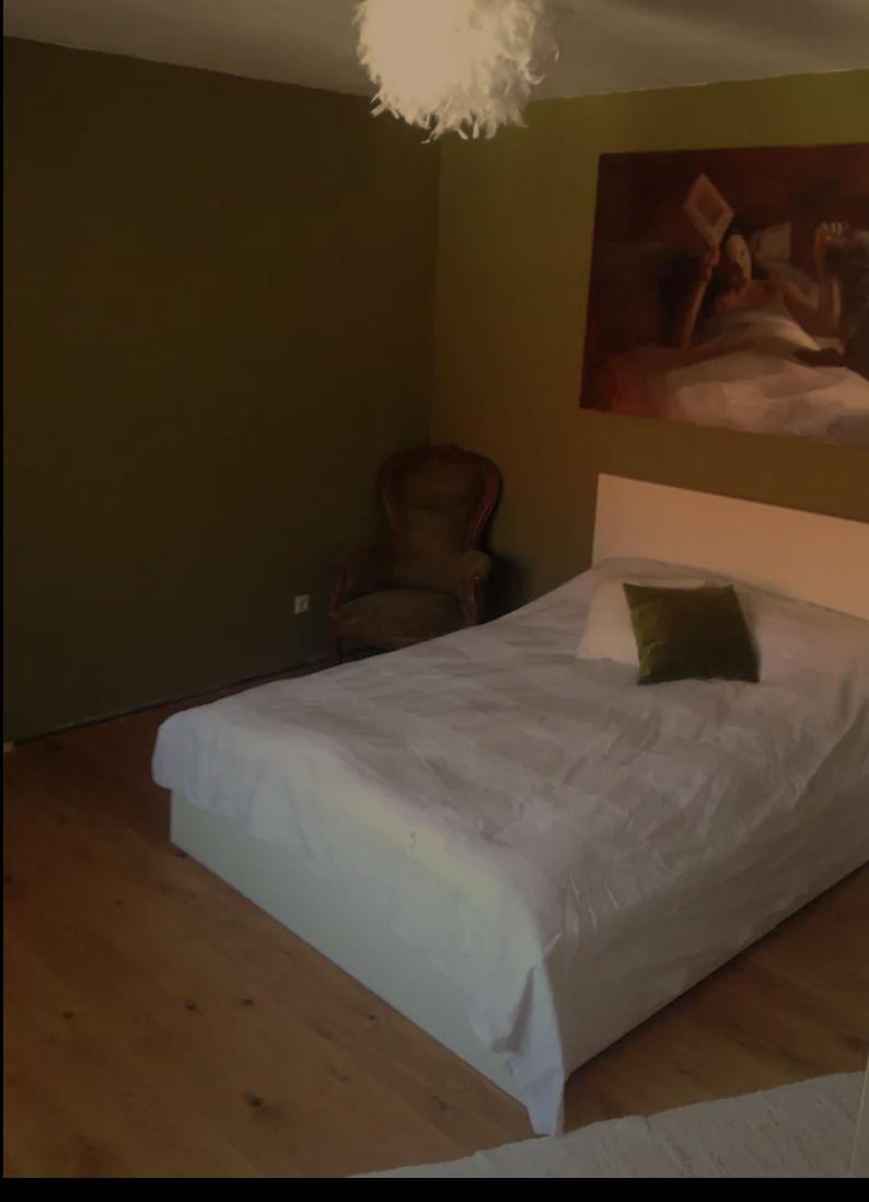 Idyllically Situated Apartment In Baden-Baden - Idyllically situated apartment in Baden-Baden - Gallery - 11