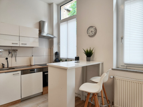 Modern, bright apartment near the city center - Gallery - 14