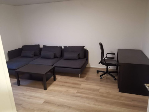Modern and stylish 3-room apartment near Frankfurt Airport (FRA)
