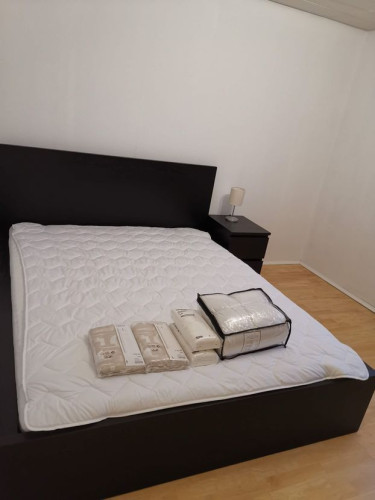 Modern and stylish 3-room apartment near Frankfurt Airport (FRA)