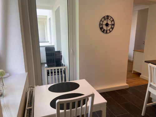 New & fashionable studio