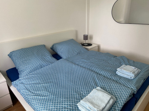 New & fashionable studio