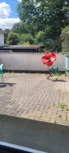 Neat suite in Bornheim