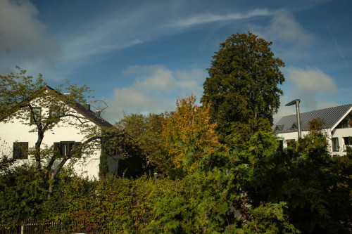 Bright 3-room apartment with south-facing balcony and good transport links