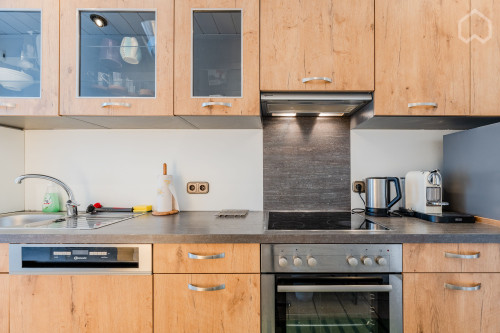 Modern furnished apartment in the old manor house of Berlin-Hermsdorf with small garden area