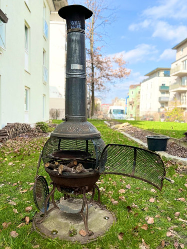 Exquisite apartment in a central location in Dresden with a large garden and top-notch amenities!