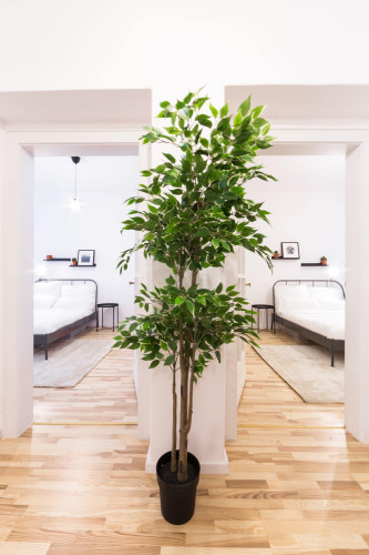 Zimmer in der Wedekindstraße 25