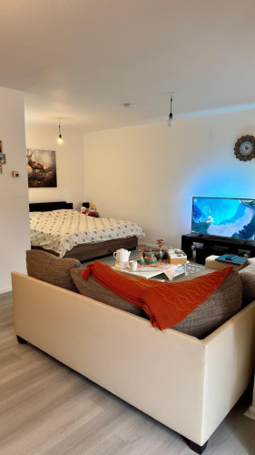 Furnished Studio Apartment with Large Balcony in a Well-Maintained Building – Essen-Bredeney