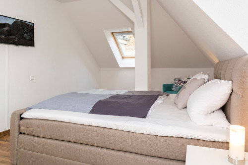 Apartment Rooftop - Gallery - 18