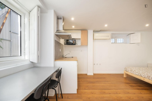 Lovely studio closely connected to the Faculty of Economics