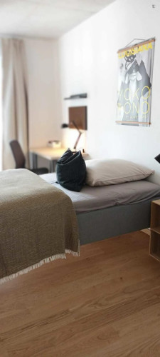 Cool single bedroom in shared flat in well-connected Maxvorstadt