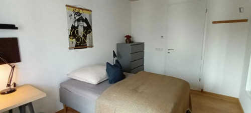 Cool single bedroom in shared flat in well-connected Maxvorstadt